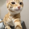 CathyDing