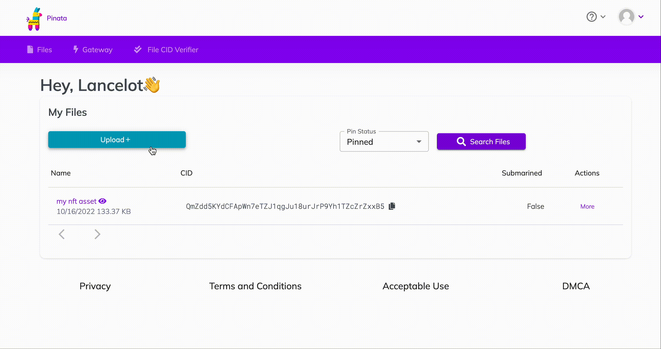 So laden Sie die Datei "nft-metadata.json" bei Pinata hoch
