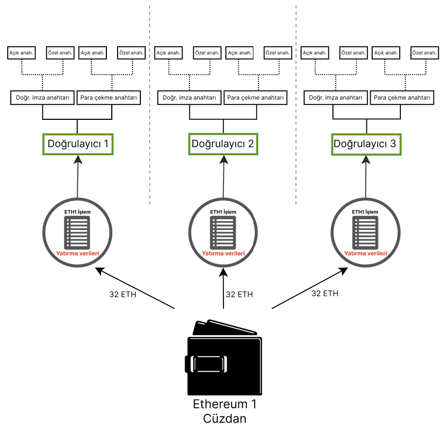 doğrulayıcı anahtar şeması